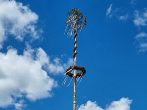 Maibaum